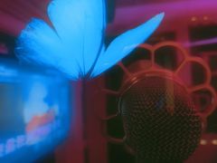 -V SHOW max KTV(粉巷店)