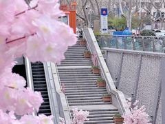 -金茂览秀城