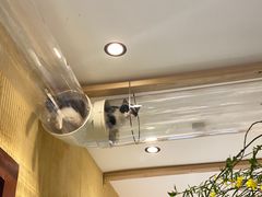 -萤火虫咖啡(后海店)