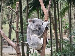 -可伦宾野生动物保护区