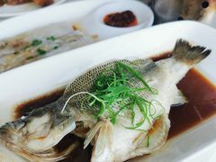 -云中小雅