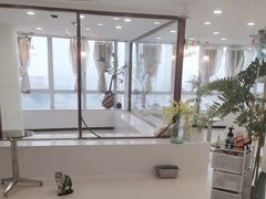 -共舞时光猫咖·狗咖(新街口店)