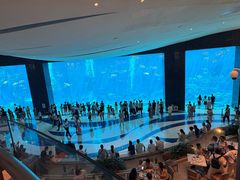 -三亚亚特兰蒂斯度假区