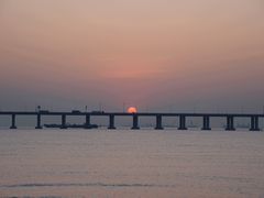 -宝安西湾红树林湿地公园