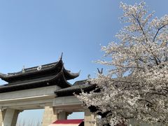 -苏州上方山国家森林公园
