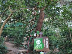 -芦仙山景区-飞越丛林探险乐园