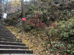 -韬光茶庵