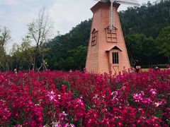 -顺峰山公园