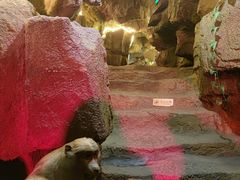 -游龙石文化科普馆