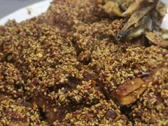 -松明一烤肉馆(鲁园店)