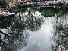 -老济南药膳把子肉(周公祠街店)