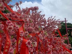 -东莞观音山旅游风景区