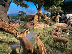 -国家自然博物馆