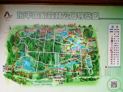 -崇明东平国家森林公园烧烤房车露营地