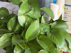 -深蓝盲人推拿·颈肩腰腿疼痛·艾灸调理(清河店)