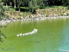 -北京张裕爱斐堡酒庄