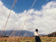 -石棉县孟获城