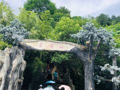 -王顺山国家森林公园