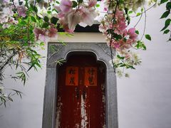 -深圳国际园林花卉博览园