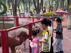 -水上乐园·欢乐世界