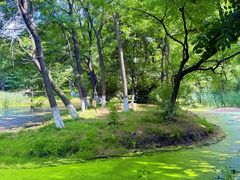 -长白岛森林公园
