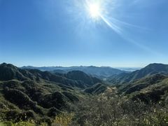 -大岭沟猕猴桃谷风景区