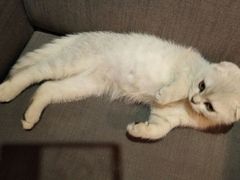 -MIKAKU(万达广场上海宝山店)