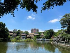 -顺峰山公园