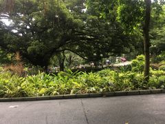 -晓港公园