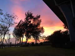 -宝安西湾红树林湿地公园