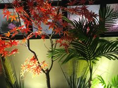 -渝乡辣婆婆·川菜 水煮鱼(中山西路店)