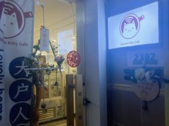 -楼上猫咖(罗湖店)
