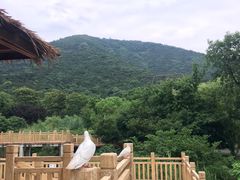 -无锡动物园·太湖欢乐园
