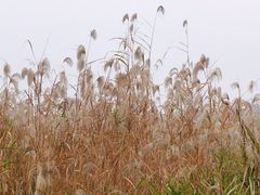 -汉江湾体育公园