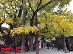 -浮来山风景区