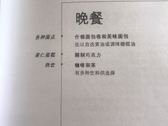 -新加坡航空公司(ION)