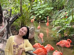 -长鹿旅游休博园