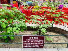 -红螺寺