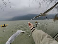 -滇池海埂公园