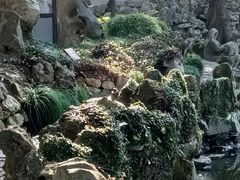 -绮园景区