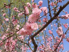 -桃花岛风景旅游区