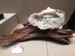 -中国闽台缘博物馆