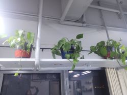 -FC·fashion creativity