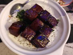 -新白鹿餐厅(百联中环店)