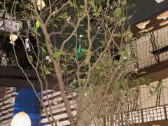 -桂满陇·海市蜃楼·黑金(国金店)