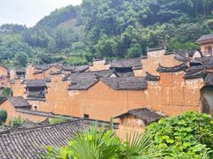 -杨家堂村
