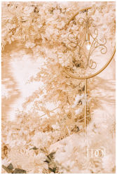 -IDOI婚礼策划·IDOIWEDDING
