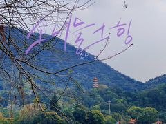 -深圳仙湖植物园