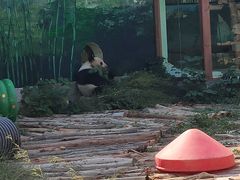 -南昌动物园