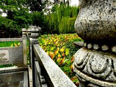 -莲湖公园